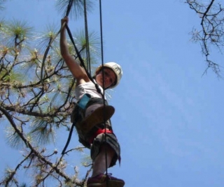  Recorrido entre los árboles de Aveyron